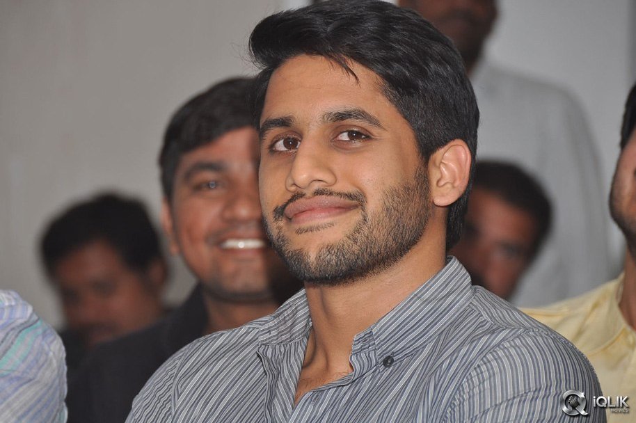 Oka-Laila-Kosam-Movie-Success-Meet